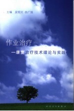 <em>作业</em><em>治疗</em>  康复<em>治疗</em>技术理论与实践