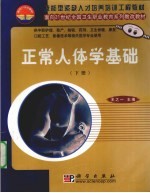 正常人体学基础  下