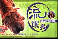 爱狗的八十八个理由