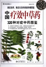 中国疗效<em>中<em>草药</em></em>  320种对症<em>中<em>草药</em></em>图鉴
