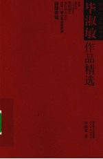 毕<em>淑敏</em>作品精选