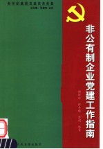 新世纪基层党建实务创新  非公有制企业党建工作指南