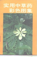 实用<em>中<em>草药</em></em>彩色图集  第2册