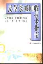 麦草浆碱回收技术指南