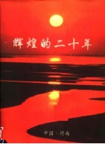 辉煌的二<em>十年</em>