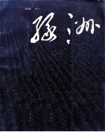 <em>绿洲</em>  前进中的新疆生产建设兵团  画册