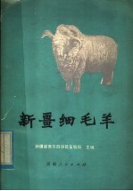 <em>新疆</em>细毛羊