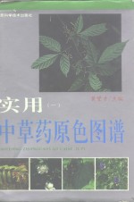 <em>实用</em>中草药原色图谱  1