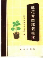 棉花<em>育苗</em>移栽<em>技术</em>