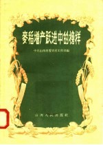 麦稻<em>增产</em>跃进中的榜样