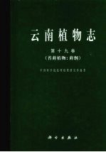 云南植物志 第19卷 苔藓植物：藓纲 Tomus 19 B<em>ry</em>ophyta：musci