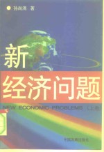 新经济问题  上
