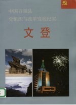 中国百强县党组织与改革发展纪实  文登分册