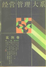 经营管理大系  实例卷