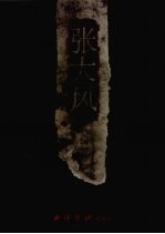 浙江中青年实力派国画家  <em>张大</em>风