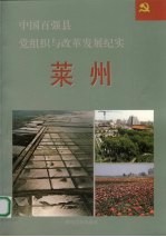 中国百强县党组织与改革发展纪实  莱州分册