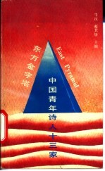 东方金字塔  中国青年诗人13家