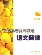 新课标培优专项通  语文阅读  初中三年级