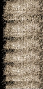 选学举要  卷<em>5</em>