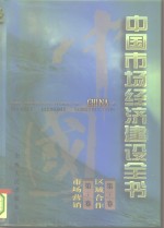 中国市场经济建设全书  第11册