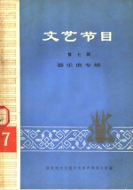 <em>文艺</em>节目  第7辑  器乐曲专辑