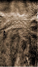 <em>王氏</em>六书存微  卷5丁