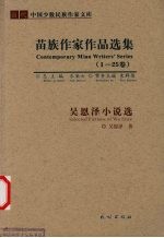 吴<em>恩泽</em>小说选