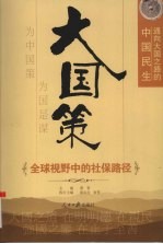 大国策  通向大国之路的中国民生  全球视野中的社保路径