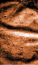 职方典  卷347-355