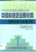 中国科技企业孵化器  案例分析与发展对策