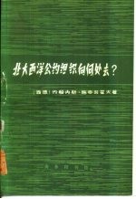 <em>北大</em>西洋公约组织向何去