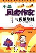 作文教学目标及多角度导写  小学同步作文与阅读训练  六年级  下