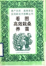 看图高效栽桑<em>养蚕</em>