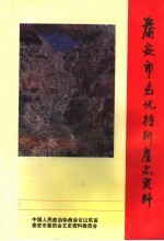 泰安文史资料  第8辑  泰安市名优特新产品资料