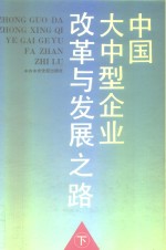 中国大中型企业改革与发展之路  下