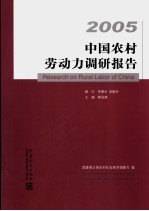 中国农村劳动力调研报告  2005