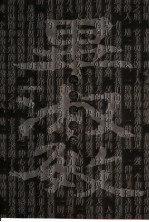毕<em>淑敏</em>语录