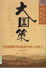 大国策  通向大国之路的中国民生  全球视野中的就业与收入分配