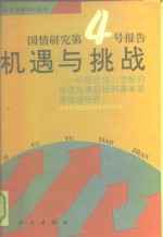 机遇与挑战  中国走向21世纪的经济发展目标和基本发展战略研究