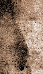 家范典  <em>卷</em><em>1</em>-<em>6</em>