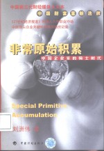 非常原始积累  中国企业家的<em>骑士</em>时代