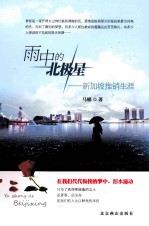 雨中的北极星  新加坡推销生涯