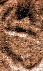 官常典  卷265-272