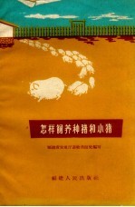 怎样饲养种猪和小猪
