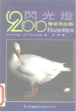 闪光灯200种使用诀窍