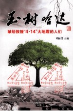 玉树哈达  献给救援4.14<em>大地</em>震的人们