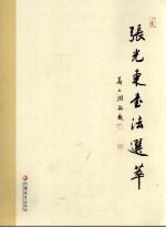 <em>张光</em>东书法选萃