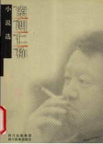 <em>索朗</em>仁称小说选
