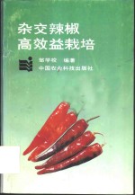 杂交辣椒高效益栽培