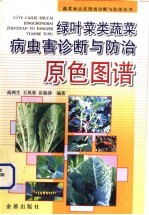 绿叶菜类<em>蔬菜</em><em>病<em>虫害</em></em><em>诊断</em><em>与</em><em>防治</em>原色图谱
